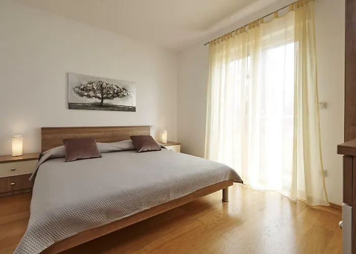 Buonocore 特罗吉尔